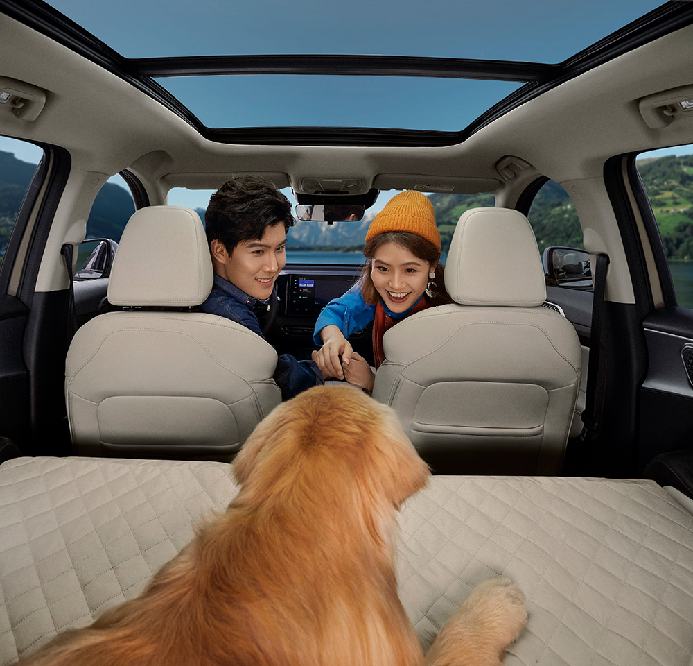 尊龙凯时 - 人生就是搏!